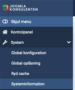 Systeminformationer under menupunktet System